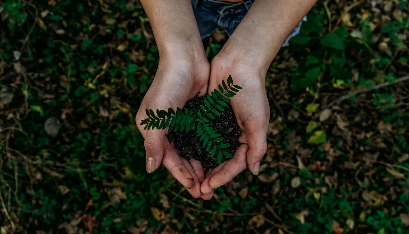 Botanicals and sustainability at Black Peak